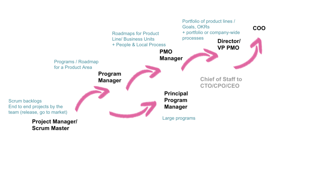 Project and Program management roles progression, impact, and responsibilities