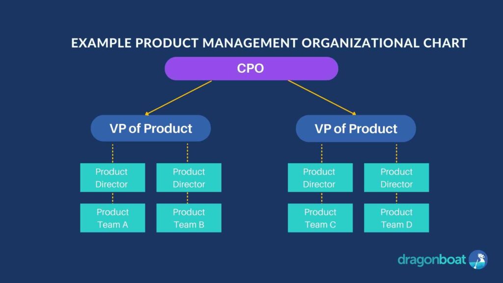 Example product team organizational chart in a company with a Chief Product Officer on the executive team.